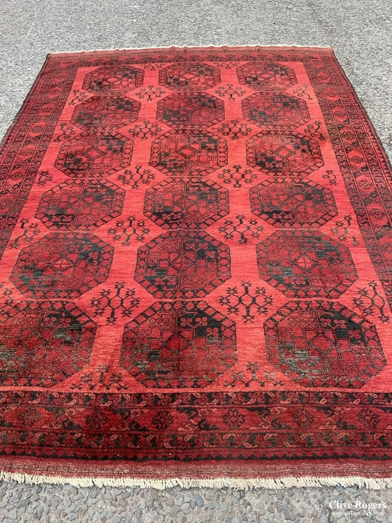 Afghan Ersari Carpet (325 X 230Cm) Carpet