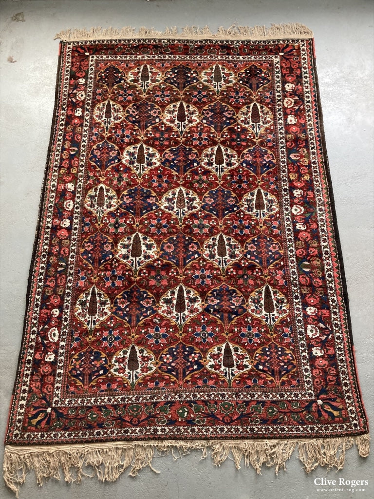Persian Bactiar Carpet With Lattice Garden Design Mid Cent Carpet