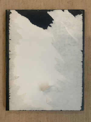 How to Identify Oriental Rugs: Wolfe, Ffrida / Wolfe, A. T. (1927)