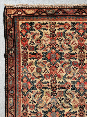 Small Hamadan antique rug (168 x 97cm)