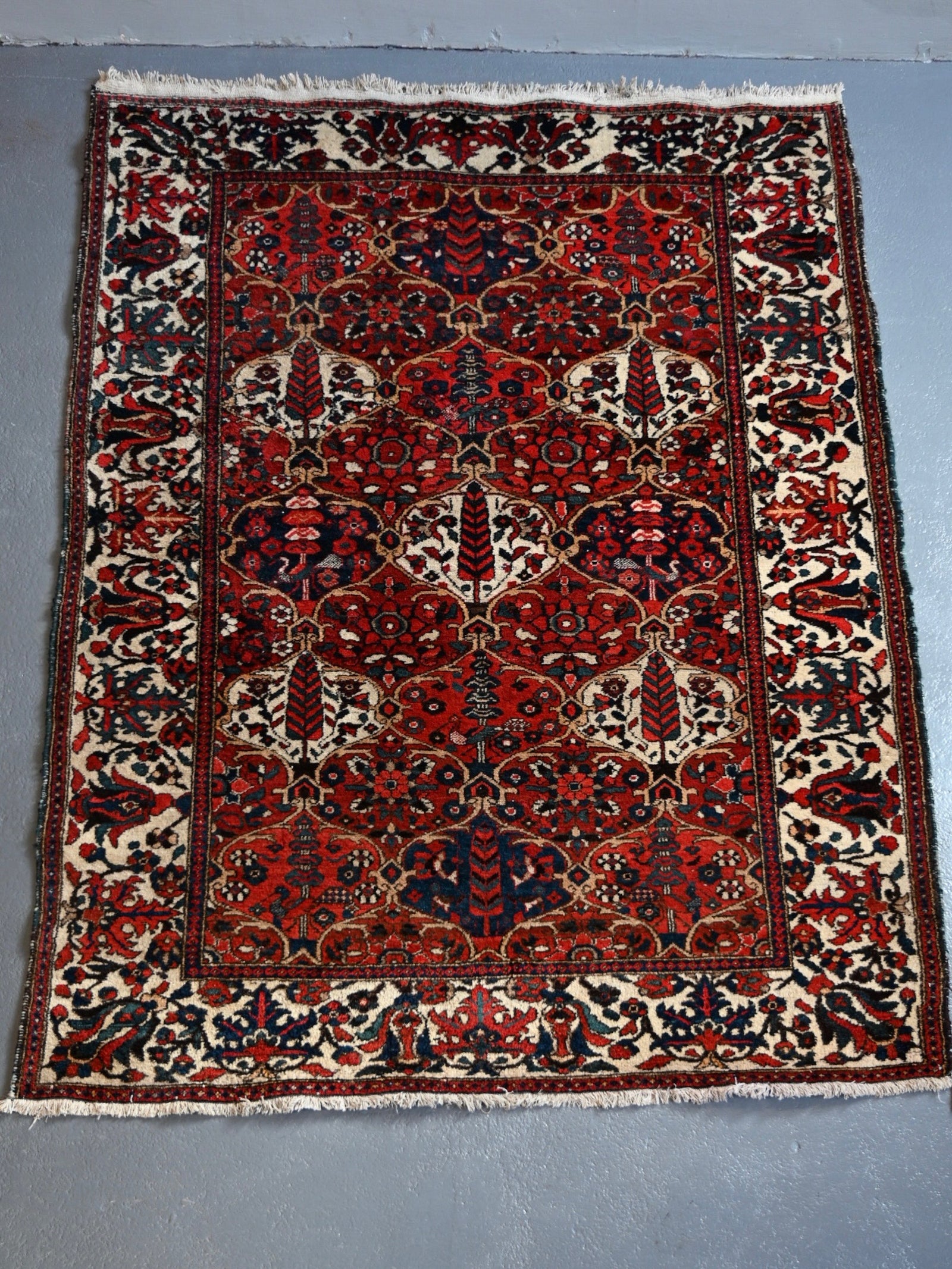 Bactiar trellis design rug (220 x 159cm)