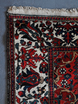 Bactiar trellis design rug (220 x 159cm)