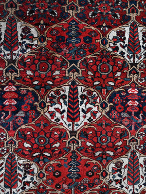 Bactiar trellis design rug (220 x 159cm)