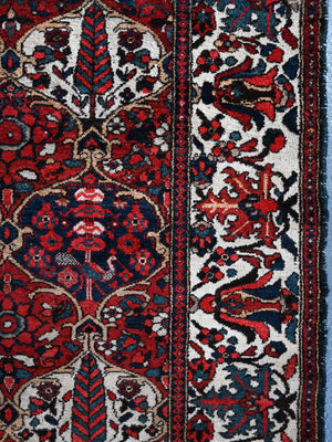 Bactiar trellis design rug (220 x 159cm)