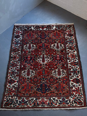 Bactiar trellis design rug (220 x 159cm)