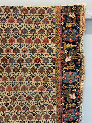 Post Classical Senneh / Bijar fragment (144 x 99cm)