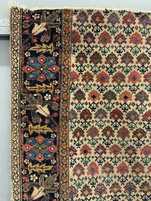 Post Classical Senneh / Bijar fragment (144 x 99cm)