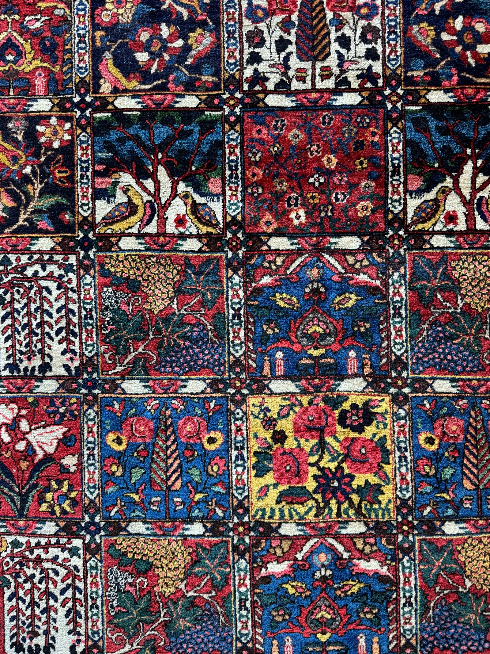 Bactiar garden design carpet (304 x 214cm)