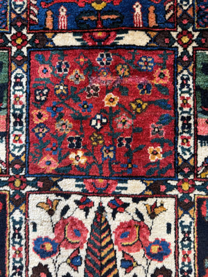 Bactiar garden design carpet (304 x 214cm)