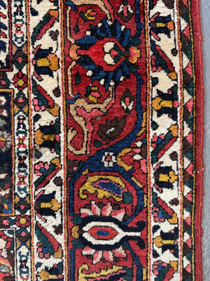 Bactiar garden design carpet (304 x 214cm)