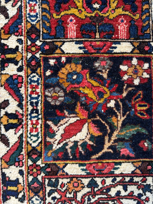 Bactiar garden design carpet (304 x 214cm)