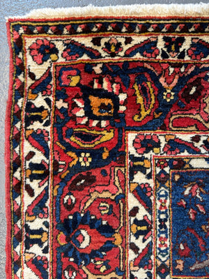 Bactiar garden design carpet (304 x 214cm)