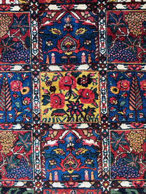 Bactiar garden design carpet (304 x 214cm)