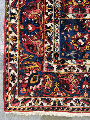 Bactiar garden design carpet (304 x 214cm)
