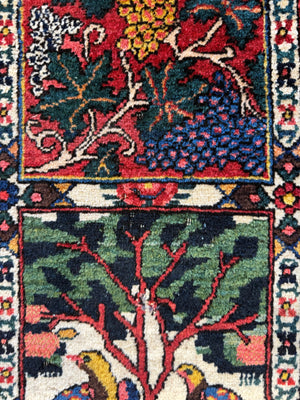 Bactiar garden design carpet (304 x 214cm)