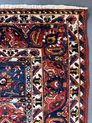 Bactiar garden design carpet (304 x 214cm)