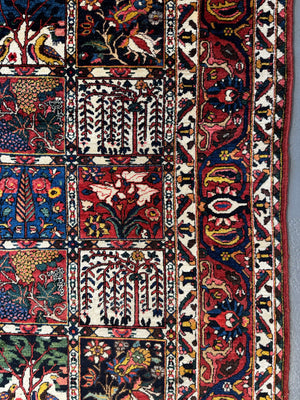 Bactiar garden design carpet (304 x 214cm)