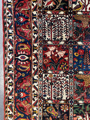 Bactiar garden design carpet (304 x 214cm)