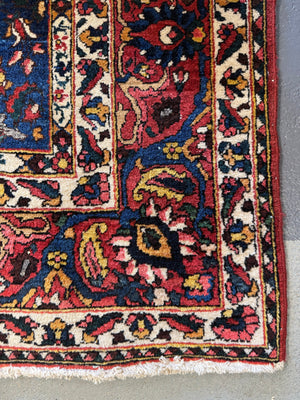 Bactiar garden design carpet (304 x 214cm)