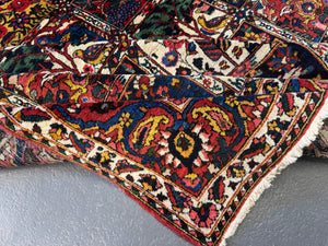 Bactiar garden design carpet (304 x 214cm)