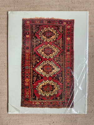 Collins, John FLOWERS OF THE DESERT.