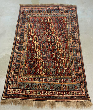 Gashguli boteh design large rug (246 x 160cm)