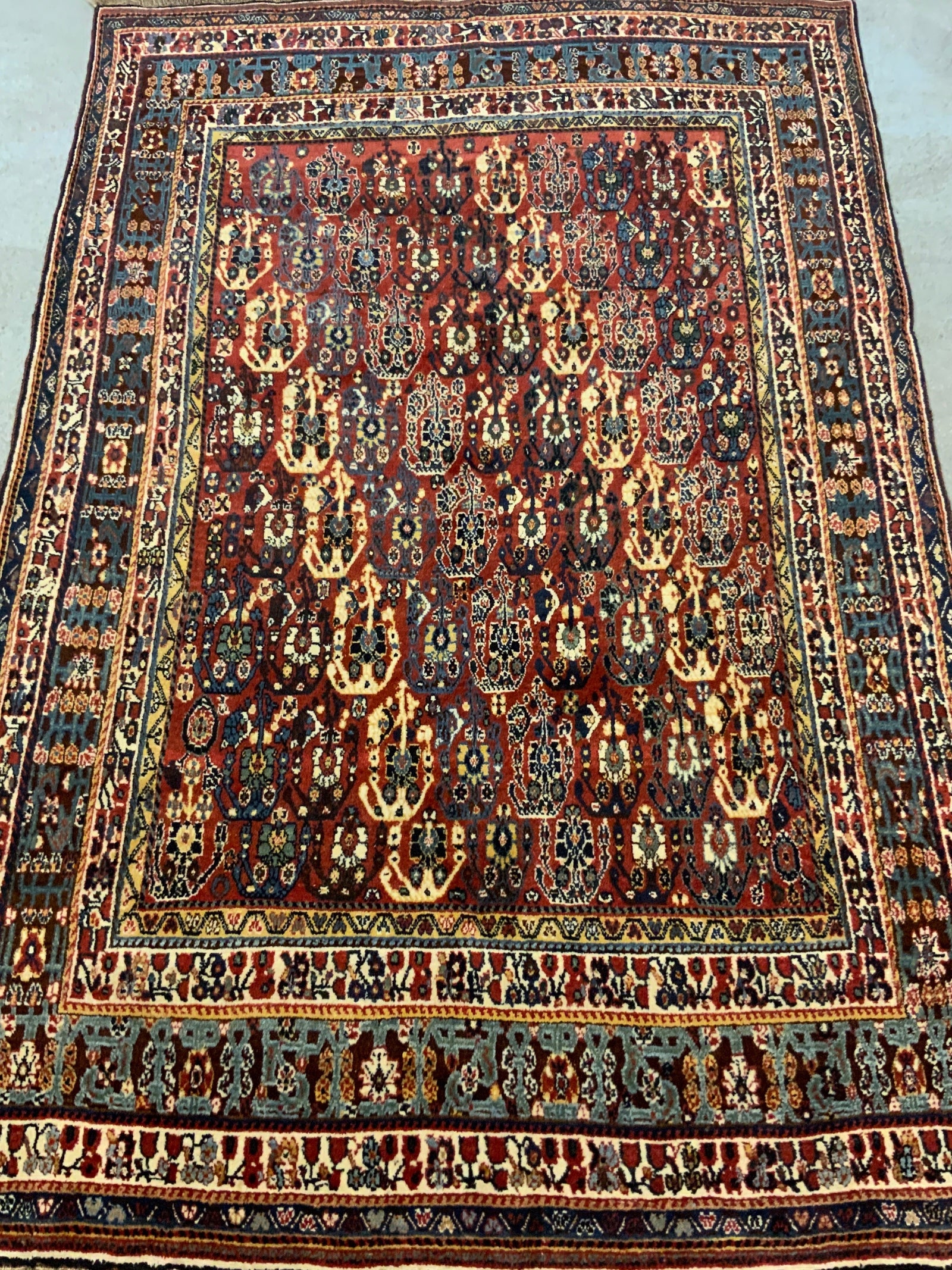 Gashguli boteh design large rug (246 x 160cm)
