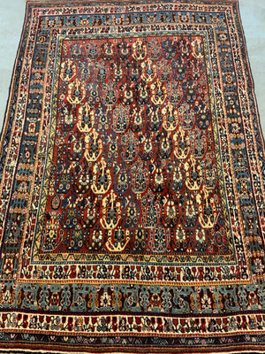 Gashguli boteh design large rug (246 x 160cm)