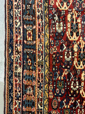 Gashguli boteh design large rug (246 x 160cm)