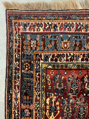 Gashguli boteh design large rug (246 x 160cm)