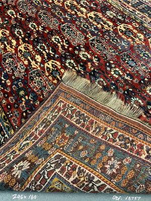 Gashguli boteh design large rug (246 x 160cm)