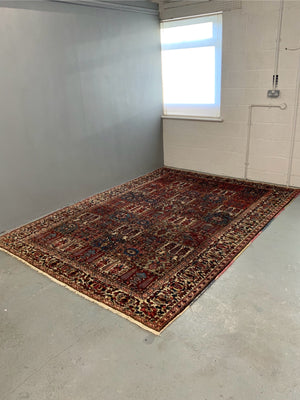 Bactiar carpet (310 x 226cm)