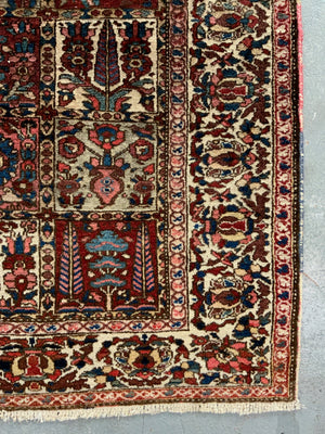 Bactiar carpet (310 x 226cm)