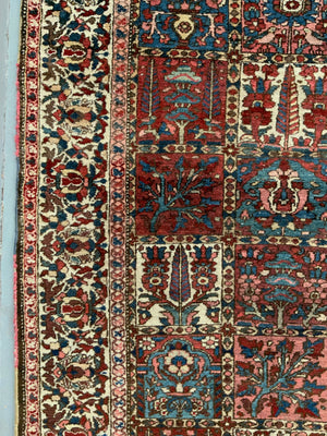 Bactiar carpet (310 x 226cm)