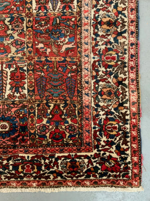 Bactiar carpet (310 x 226cm)