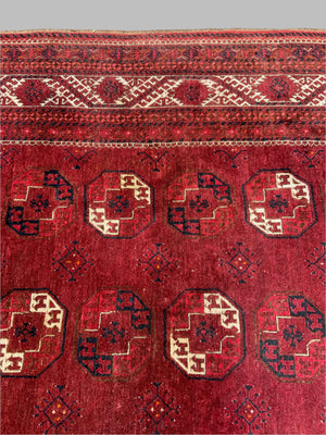 Chob Bash / Kizil Eyek Afghan oversize kelleigh carpet (673 x 300cm)