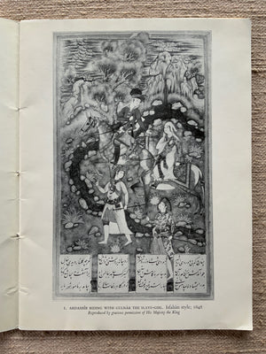 Robinson, B.W. : Persian Paintings