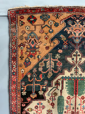 Mahal Bactiar long rug (318 x 112cm)