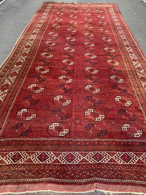 Chob Bash / Kizil Eyek Afghan oversize kelleigh carpet (673 x 300cm)
