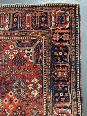 Joshegan carpet (308 x 213cm)