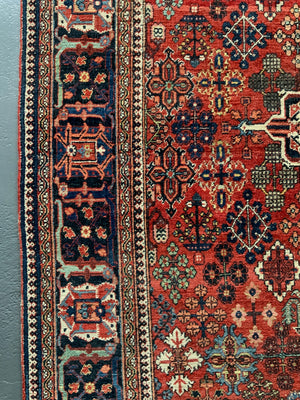 Joshegan carpet (308 x 213cm)