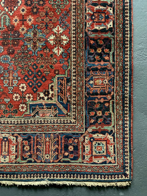 Joshegan carpet (308 x 213cm)