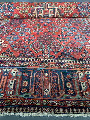 Joshegan carpet (308 x 213cm)
