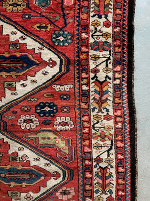 Antique Bactiari carpet (325 x 282cm)