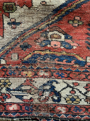 Antique Bactiari carpet (325 x 282cm)
