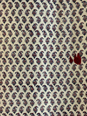 Kalamkari print (245 x 136cm)