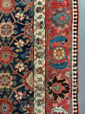 NWP antique kelleigh oversize audience carpet AF*(501 x 194cm)