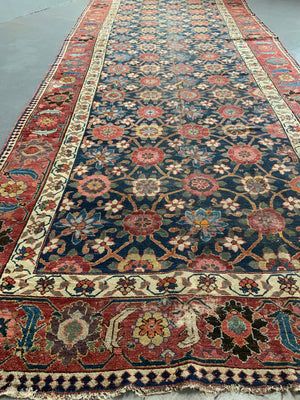 NWP antique kelleigh oversize audience carpet AF*(501 x 194cm)