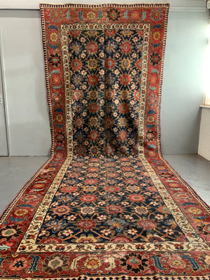 NWP antique kelleigh oversize audience carpet AF*(501 x 194cm)
