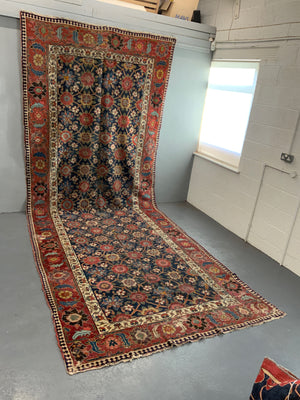 NWP antique kelleigh oversize audience carpet AF*(501 x 194cm)
